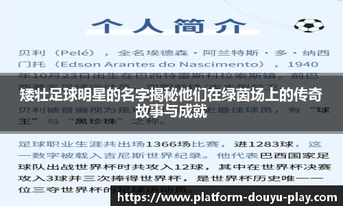 矮壮足球明星的名字揭秘他们在绿茵场上的传奇故事与成就